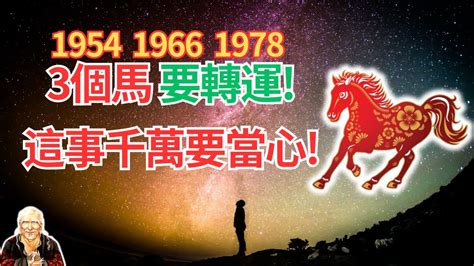 1978屬馬的男人|【1978 五行】1978生肖屬馬：五行運勢全解析！